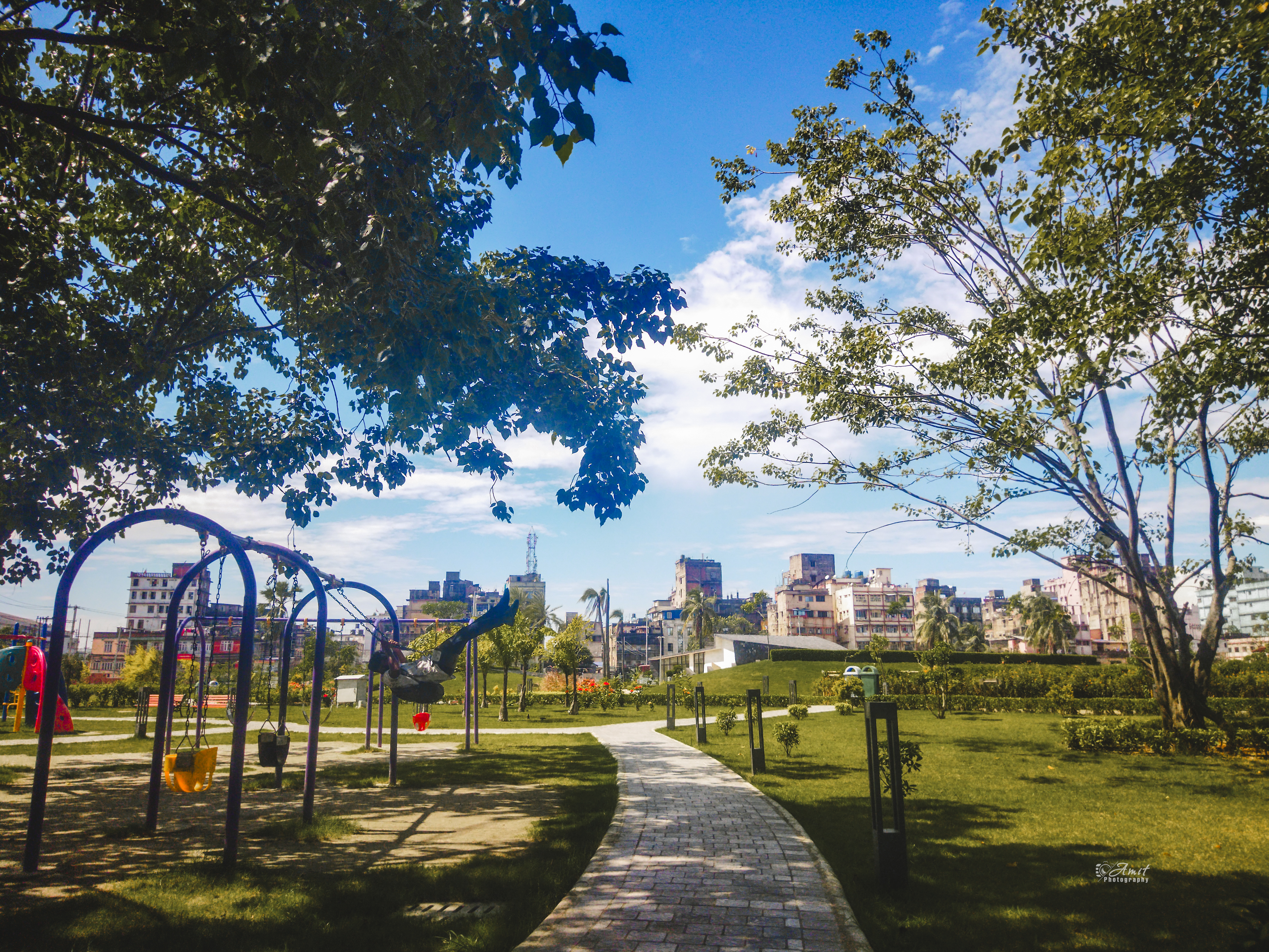 Nature's Path Park Photography